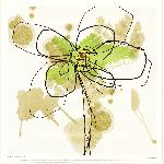 Gravuras Florais