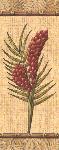 Gravuras Florais